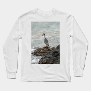 Black-crowned night heron of hawaii 7 Long Sleeve T-Shirt